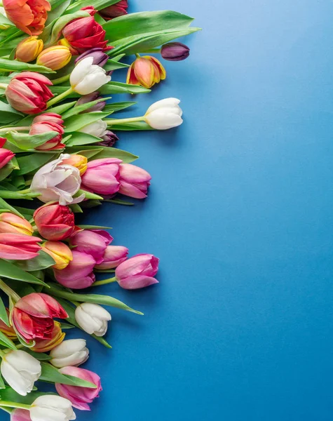 Colorido Ramo Tulipanes Sobre Fondo Azul Vista Superior —  Fotos de Stock