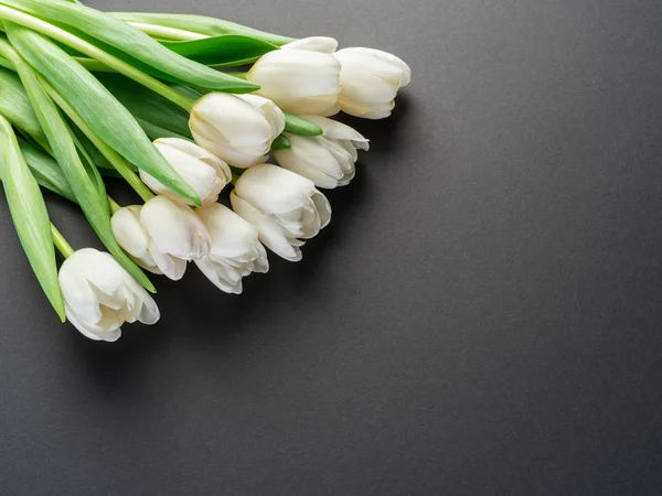 Білі Ніжні Тюльпани Темно Сірому Фоні Вид Зверху — стокове фото