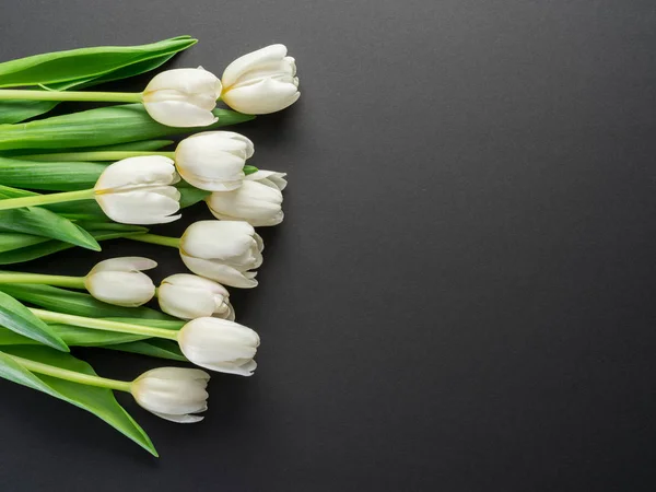 Witte Tedere Tulpen Donkere Grijze Achtergrond Bovenaanzicht — Stockfoto