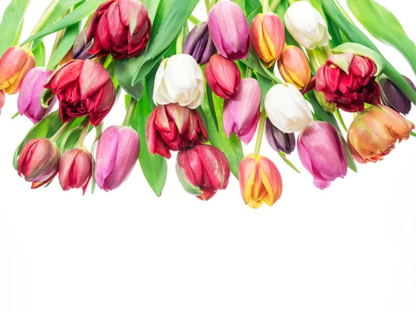 Bouquet Colorato Tulipani Sfondo Bianco Sfondo Primavera — Foto Stock