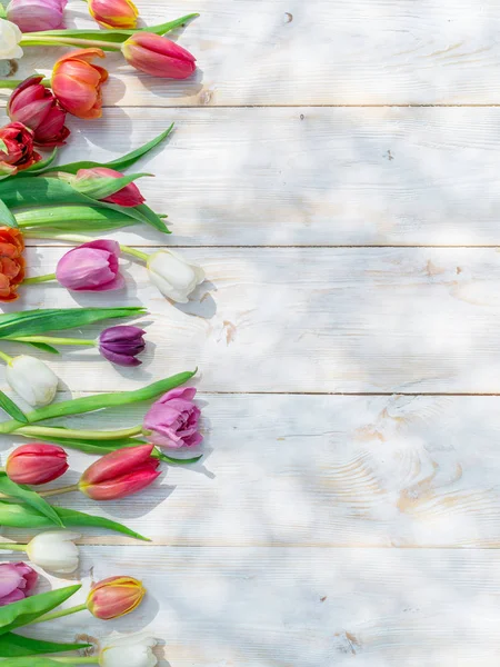 Tulipes Colorées Sur Table Bois Blanc Aux Rayons Soleil Printemps — Photo