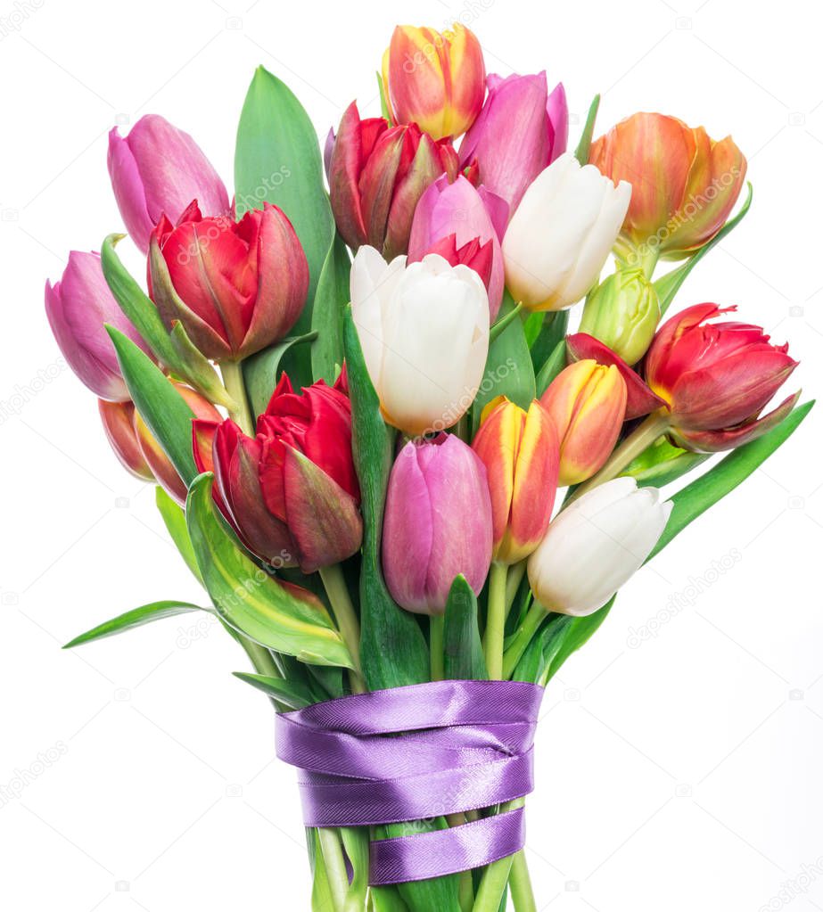 Colorful bouquet of tulips on white background. Spring background.