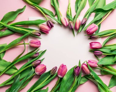 Lightpink arka plan üzerinde narin pembe laleler. 