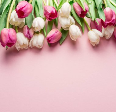 Lightpink arka plan üzerinde beyaz ve pembe laleler. 