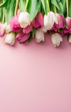 Lightpink arka plan üzerinde beyaz ve pembe laleler. 