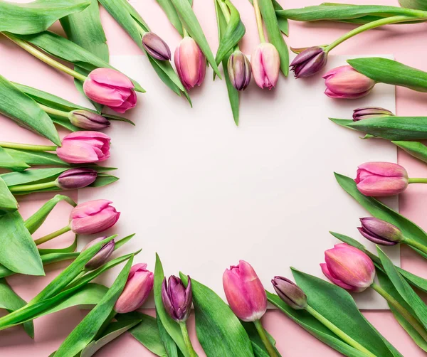 Delicate pink tulips on lightpink background. — Stock Photo, Image