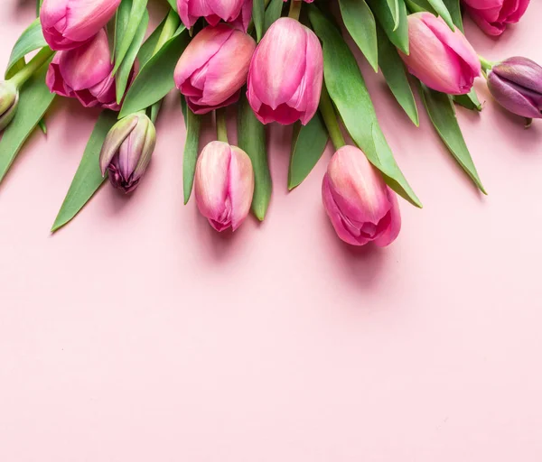 Ніжні рожеві тюльпани на світло-рожевому фоні . — стокове фото