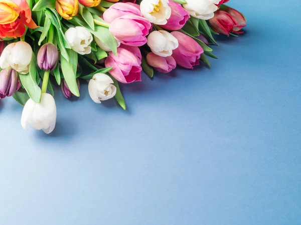 Bunte Tulpe Strauß auf blauem Hintergrund. — Stockfoto