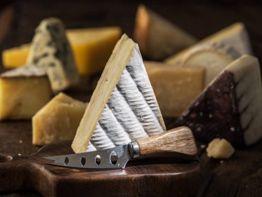 Brie peyniri veya yumuşak inek - segment w üzerinde Fransız peynir süt