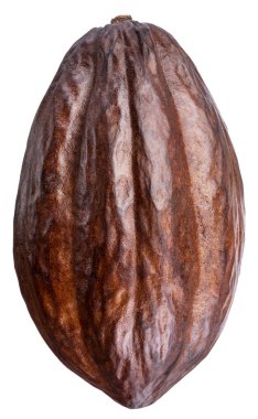 Beyaz zemin üzerine kakao pod. Kırpma yolu.