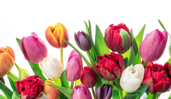 Kleurrijke boeket van tulpen op witte achtergrond. — Stockfoto