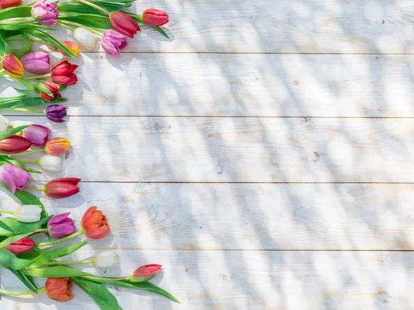 Tulipes colorées sur table en bois blanc aux rayons du soleil du printemps . — Photo