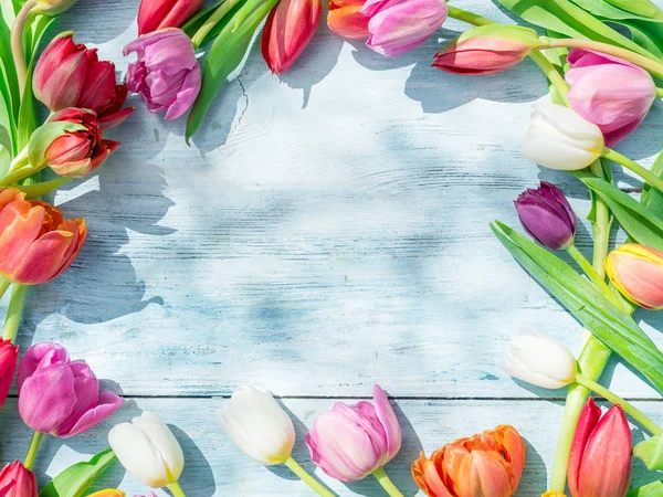 Tulipanes coloridos en mesa de madera azul en las luces del sol de primavera . — Foto de Stock