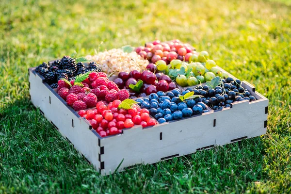 Summer berries in wooden box on the green grass. Top view. — Stock Photo, Image