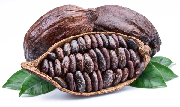 ココアのポッドとココア豆のチョコレート ベースを白で隔離 — ストック写真