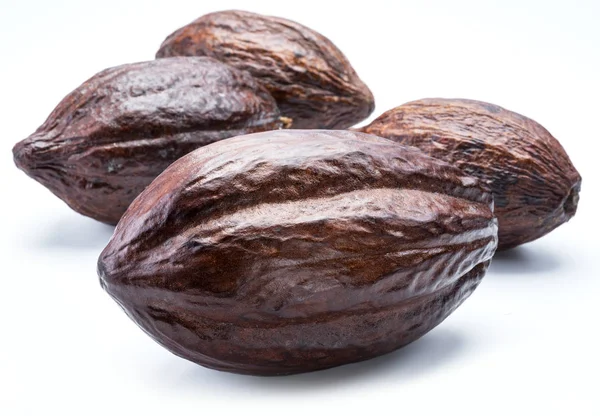 Bruin cacao peulen geïsoleerd op een witte achtergrond. — Stockfoto