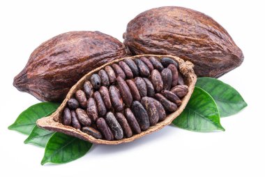 Kakao bakla ve kakao çekirdekleri - çikolata olarak beyaz izole