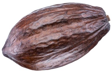 Beyaz zemin üzerine kakao pod. Kırpma yolu.