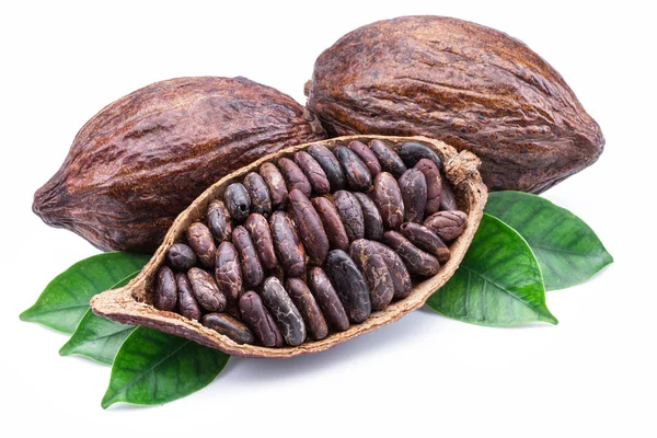 Kakaoschoten und Kakaobohnen - Schokoladenbasis isoliert auf weißer Basis — Stockfoto