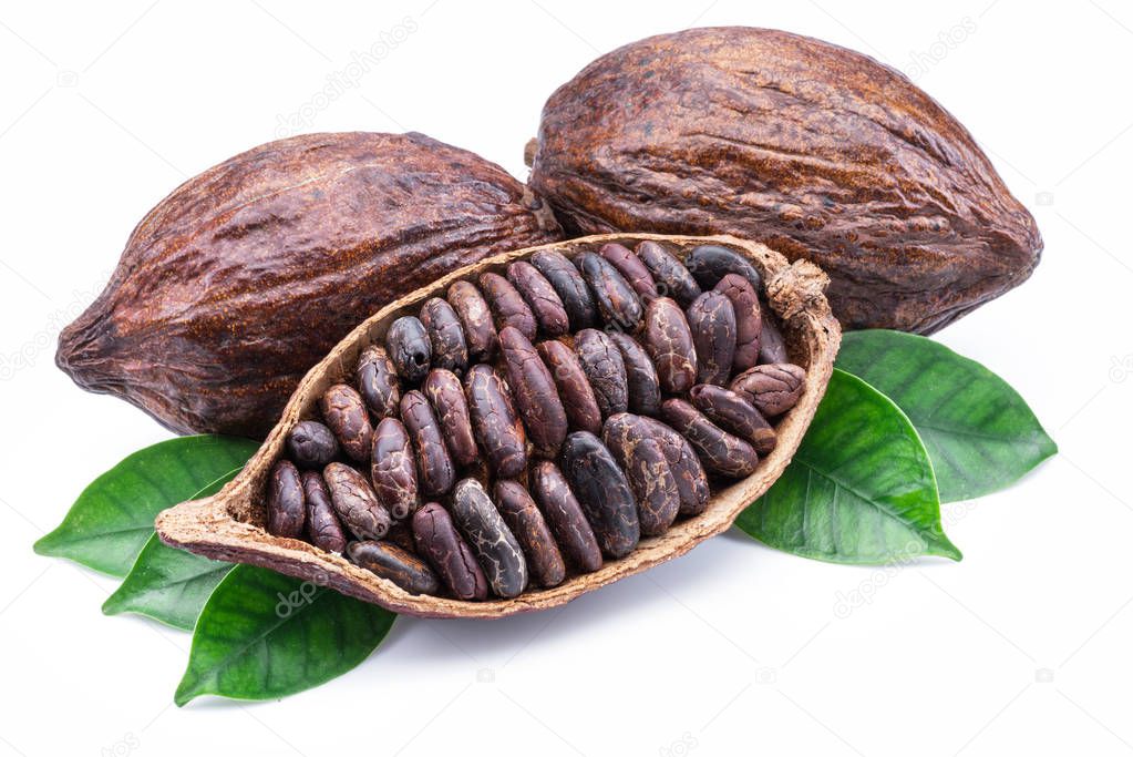 Cocoa pods and cocoa beans - chocolate basis isolated on a white