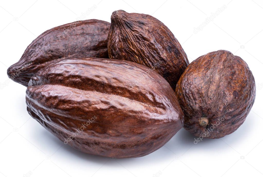 Brown cocoa pods isolated on a white background. 
