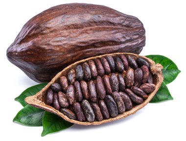 Cocoa pods and cocoa beans - chocolate basis isolated on a white clipart