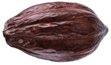 Beyaz zemin üzerine kakao pod. Kırpma yolu.