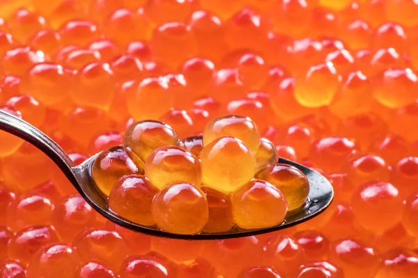 Salmon roe in the silver spoon close-up. Red caviar at the backg — Stock Photo, Image