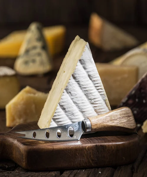 Segment van Brie kaas of zachte koe - melk Franse kaas op w — Stockfoto