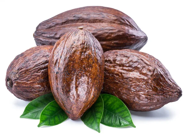 Какао-каструлі з листям какао ізольовані на білому фоні . — стокове фото