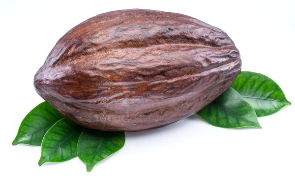 Cacao pod met cacao bladeren geïsoleerd op een witte achtergrond. — Stockfoto