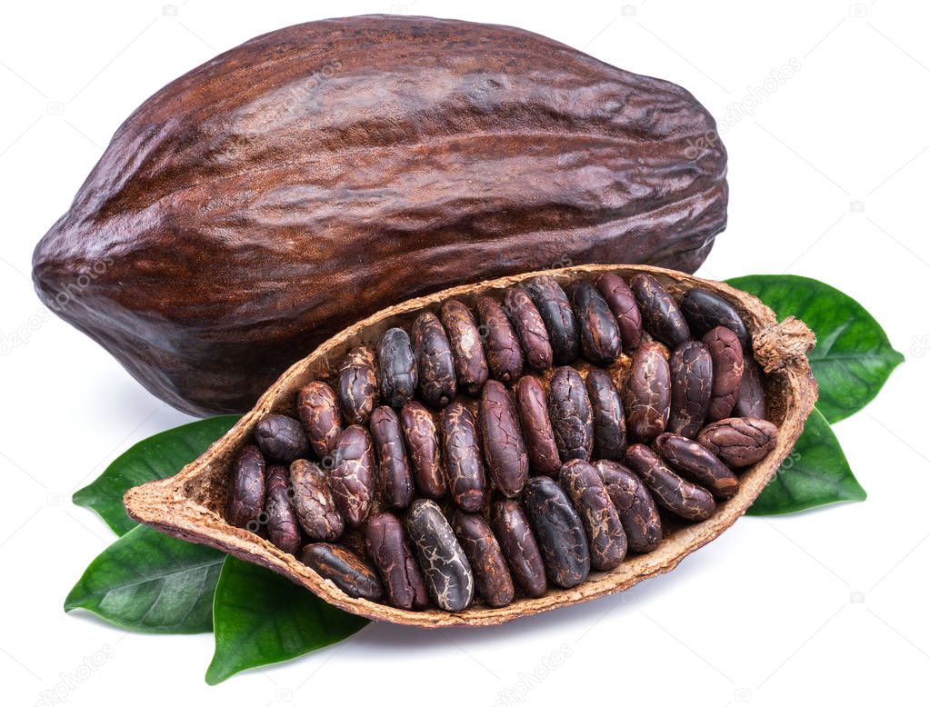 Cocoa pods and cocoa beans - chocolate basis isolated on a white