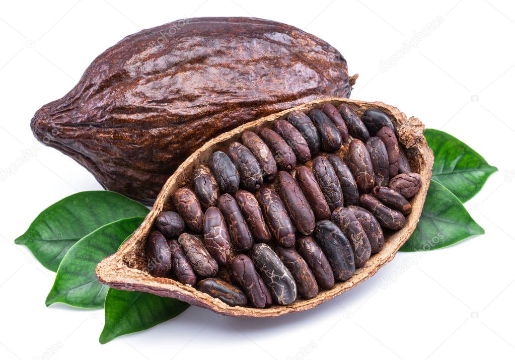 Cocoa pods and cocoa beans - chocolate basis isolated on a white