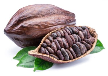 Kakao bakla ve kakao kuru fasulye - çikolata olarak beyaz izole 