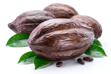 Beyaz bir arka plan üzerinde izole kakao yapraklarla kakao bakla.