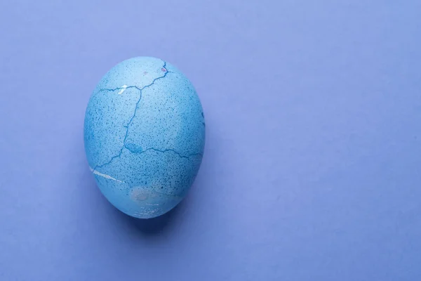 Colorato in blu uovo di Pasqua su sfondo blu . — Foto Stock