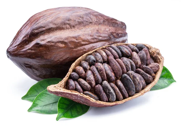 Cocoa pods and cocoa beans -chocolate basis isolated on a white — Stock Photo, Image