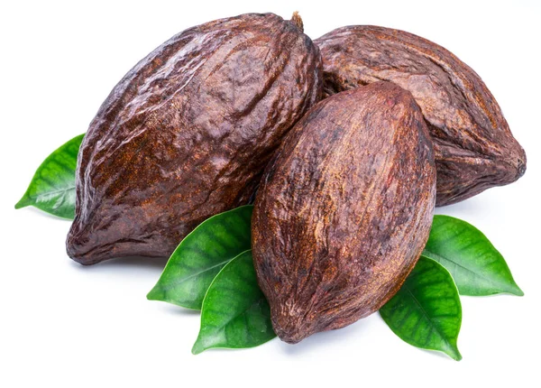 Vainas de cacao con hojas de cacao aisladas sobre un fondo blanco . — Foto de Stock