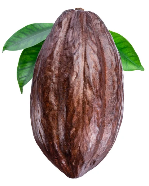 Vaina de cacao con hojas de cacao sobre un fondo blanco. Ruta de recorte — Foto de Stock