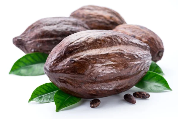 Cocoa pods with cocoa leaves isolated on a white background. — Stock Photo, Image