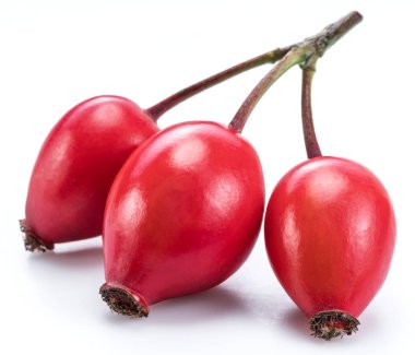 Olgun rose hips beyaz bir arka plan üzerinde izole. Yakın çekim.
