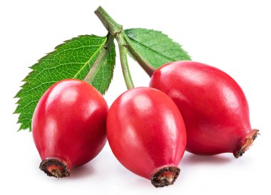 Rose-kalça üzerinde beyaz bir arka plan izole gül yaprakları ile.