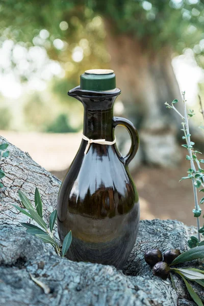 Buteleczkę oliwy z oliwek pod drzewo oliwne. Backgro natura niewyraźne — Zdjęcie stockowe