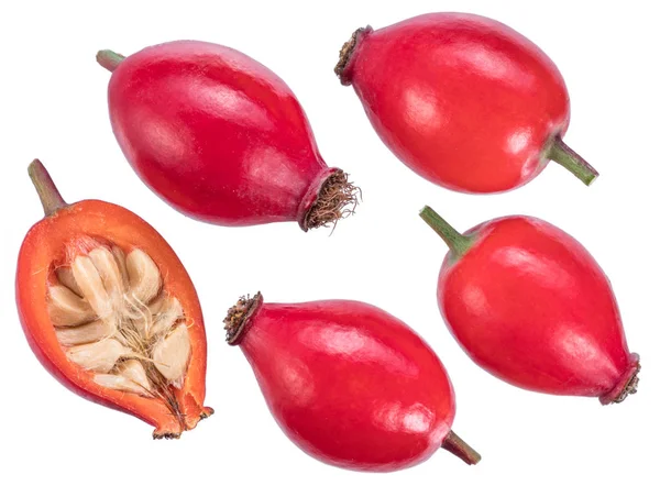 Rose-hips or wild rose berries isolated on a white background. — Stock Photo, Image