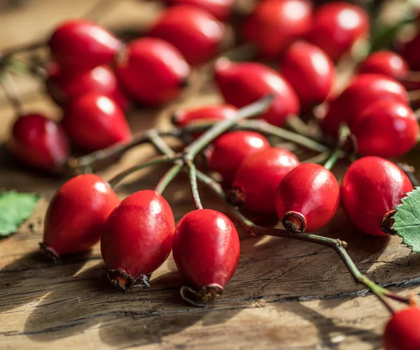 Rijpe rozenbottels of wilde roze bessen op een houten achtergrond. — Stockfoto