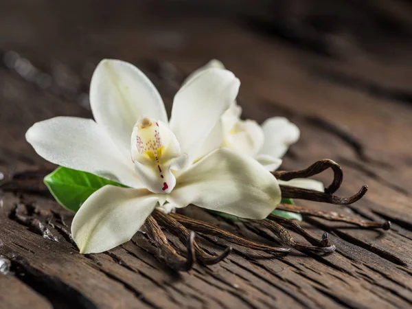 Bastoncini di vaniglia essiccati e orchidea vaniglia sul tavolo di legno . — Foto Stock