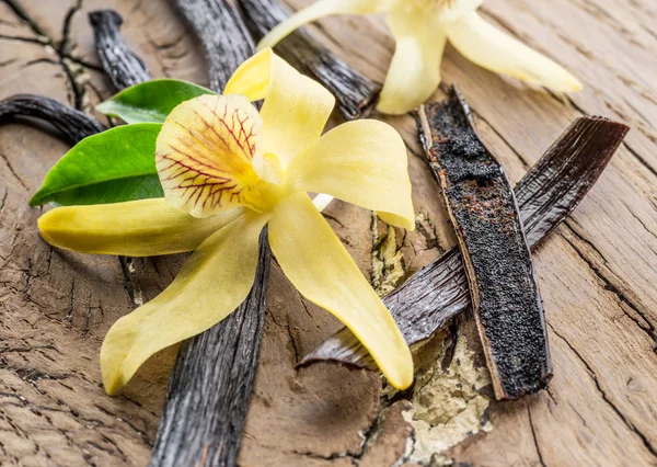 Gedroogde vanille vruchten en Vanille-orchidee op houten tafel. — Stockfoto