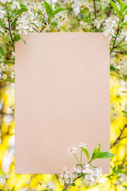 Kağıt boş kiraz çiçeği dallarında arasında. Renkli yeşil bir