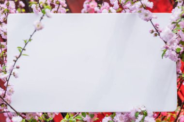 Kağıt çiçek çiçeklenme badem şubeleri arasında boş. Pembe f