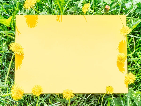 Papel amarillo en blanco sobre la hierba verde y los dientes de león. Gras verdes —  Fotos de Stock